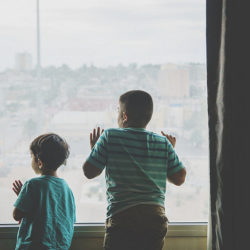 Hotel Guest Services